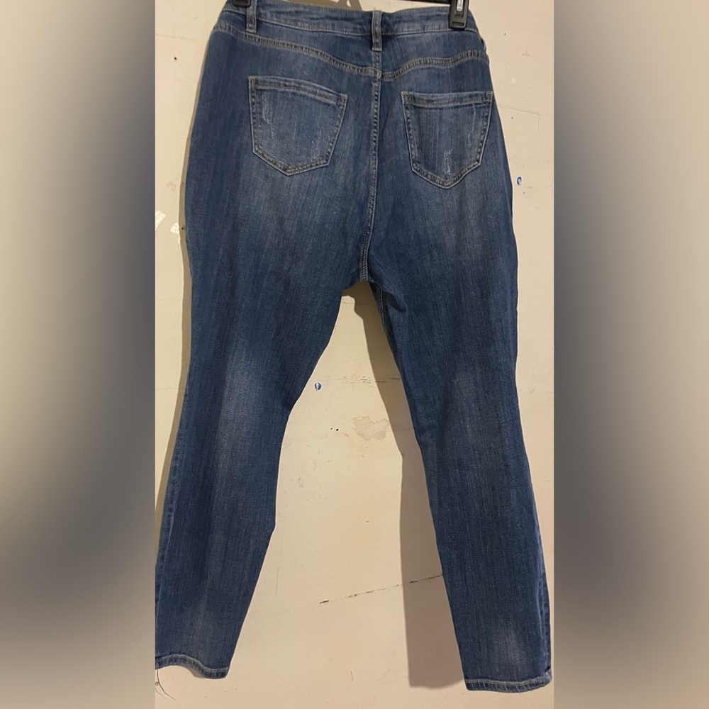 Lane Bryant skinny